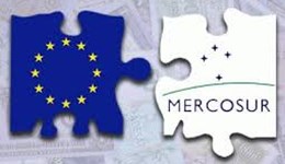 What could the EU-Mercosur trade deal mean for UK livestock farmers?